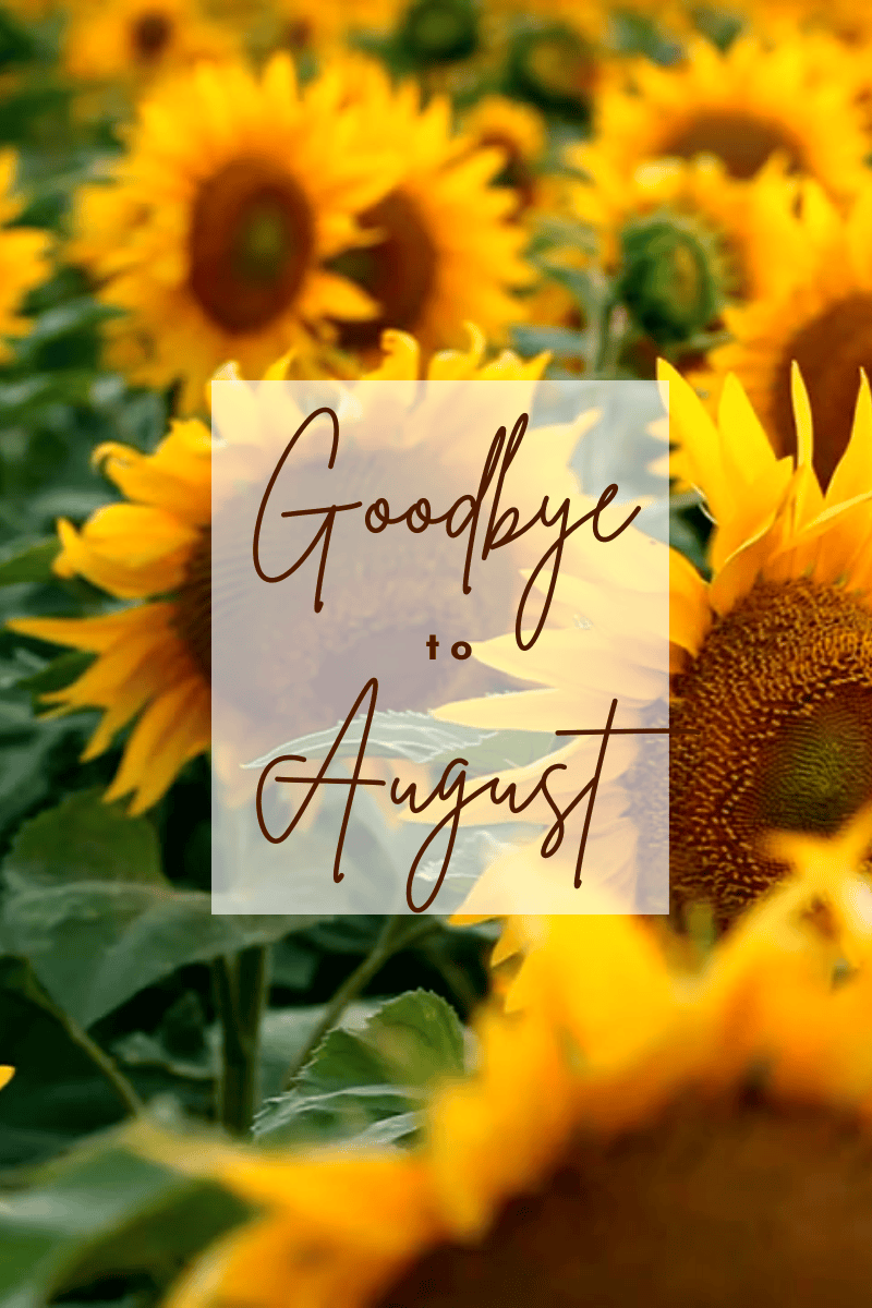 August – the Not “Special” Month